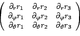 \begin{displaymath}\left(
\begin{array}{ccc}
\partial _r r_1 &\partial _r r_2 &\...
...l _\vartheta r_2 &\partial _\vartheta r_3\\
\end{array}\right)\end{displaymath}
